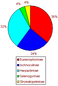 Diagramm zur proztenualen Aufteilung der Unterfamilien der Theraphosidae in Afrika