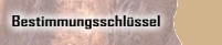 Bestimmungsschlüssel (inkl. Zeichnungen der Schlüsselmerkmale) bis auf Artebene für die Unterfamilie Harpactirinae