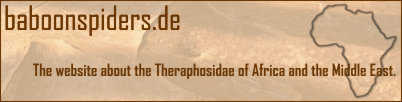 www.baboonspiders.de - Banner