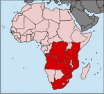 Distribution of P. murinus POCOCK, 1897